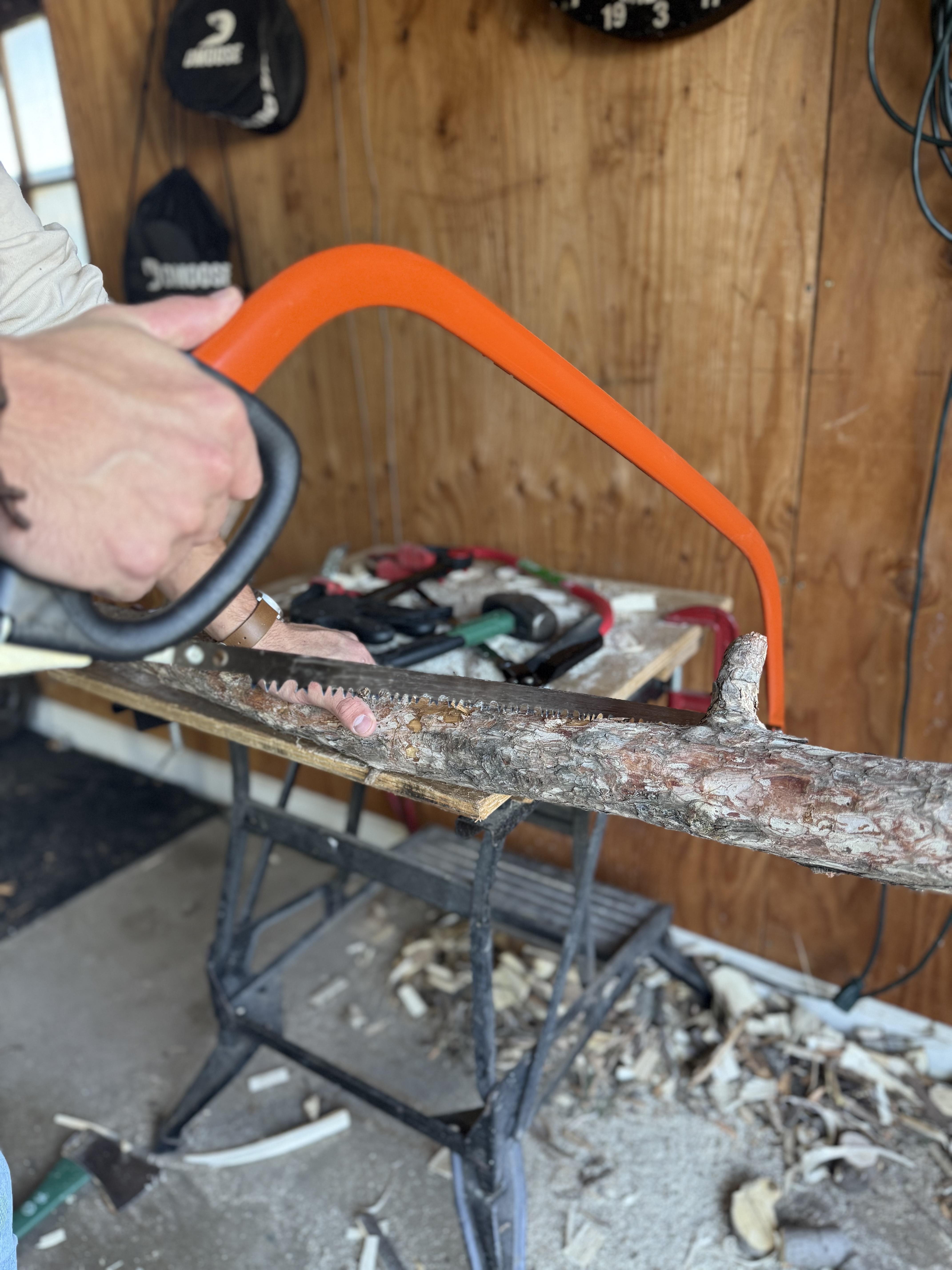 Danny Fisher cutting a gathered branch by hand with a bow saw